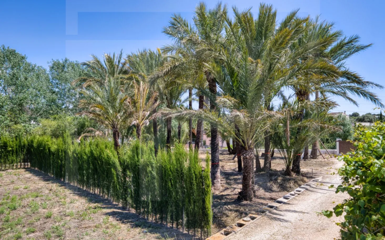 Uitzonderlijk landelijk onroerend goed met ontwikkelingspotentieel in Moraira/Teulada