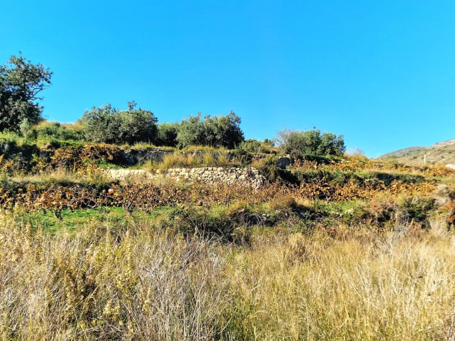Rustiek perceel met panoramisch zeezicht nabij Moraira, Javea en de Lady Elisabeth School.