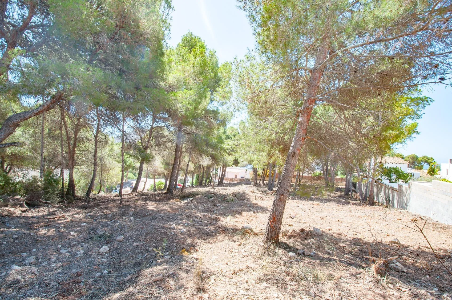 BOUWGROND(EN) MET ZEEZICHT IN EL PORTET, MORAIRA