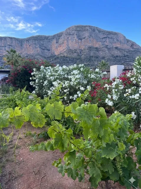 Villa te verkoop in Jávea / Xàbia