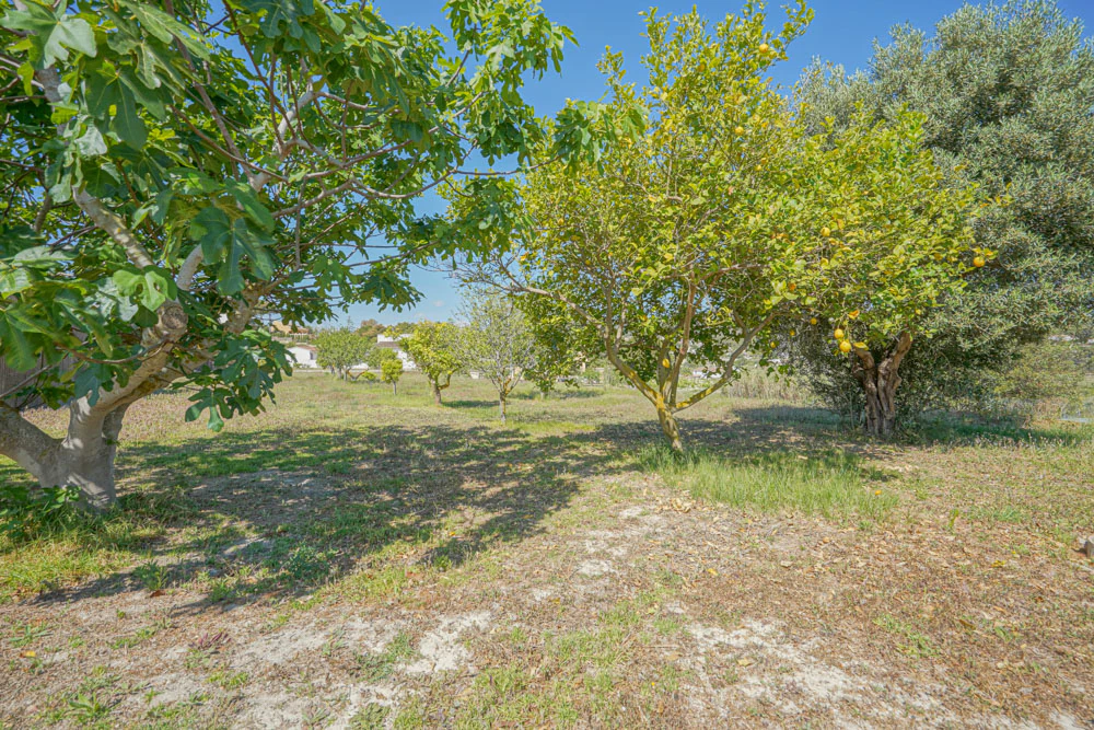 Finca te verkoop in Benitachell / El Poble Nou De Benitatxell