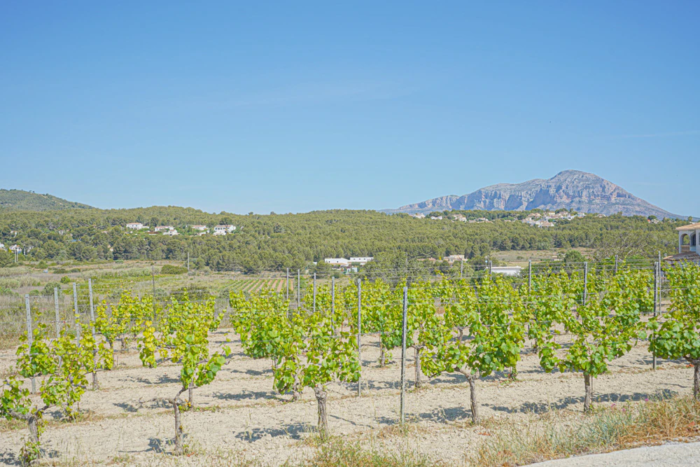 Finca te verkoop in Benitachell / El Poble Nou De Benitatxell