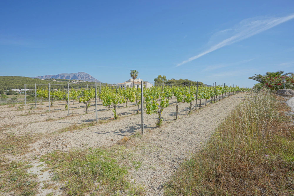 Finca te verkoop in Benitachell / El Poble Nou De Benitatxell