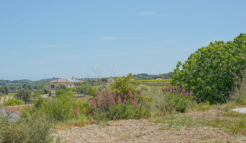 Finca te verkoop in Benitachell / El Poble Nou De Benitatxell