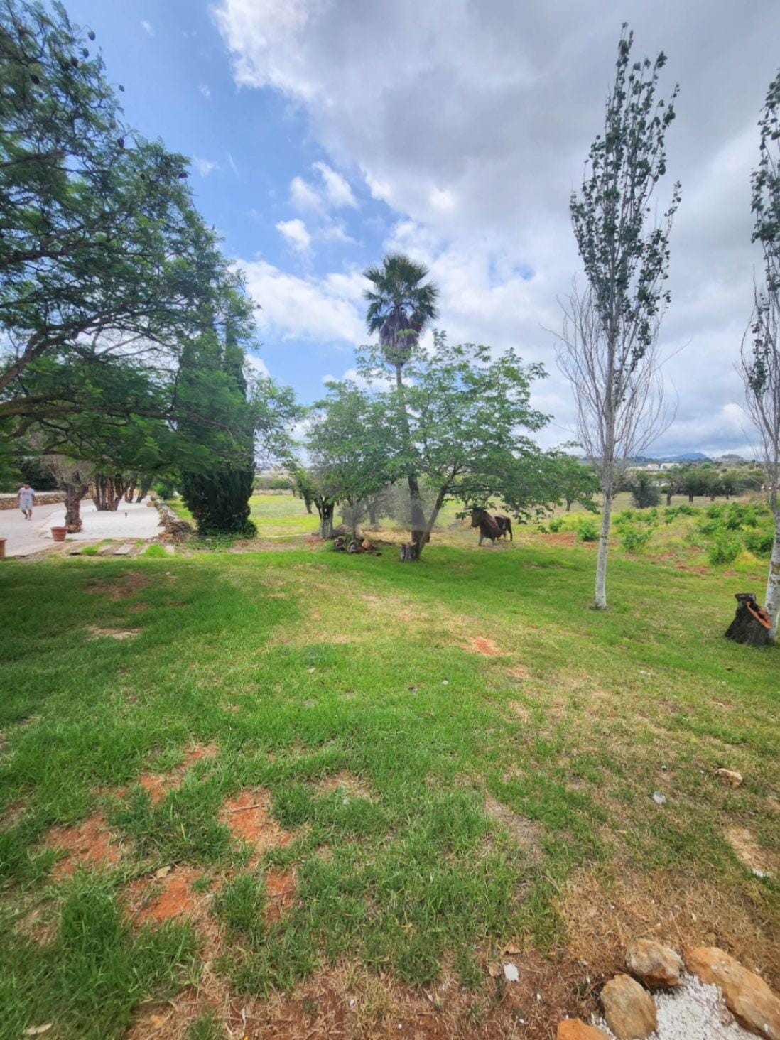 Mediterranean style finca in Senija just renovated