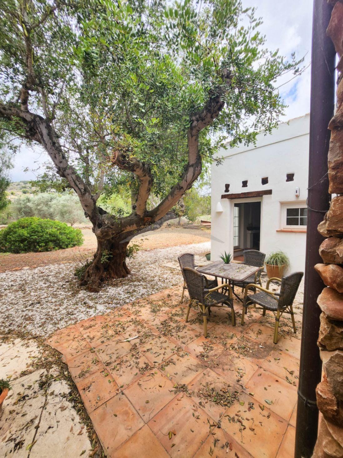 Mediterranean style finca in Senija just renovated