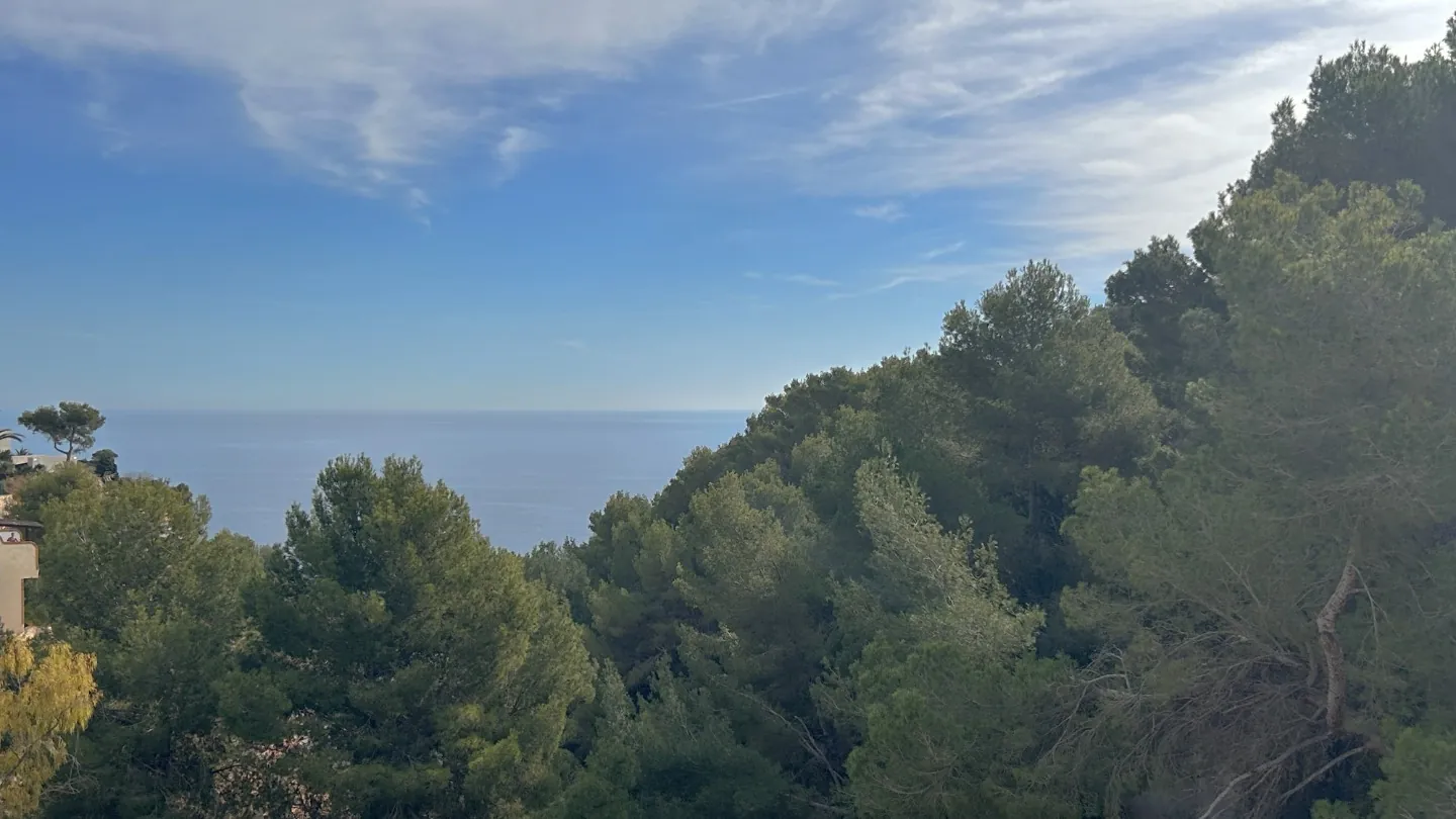 Villa for sale in Javea