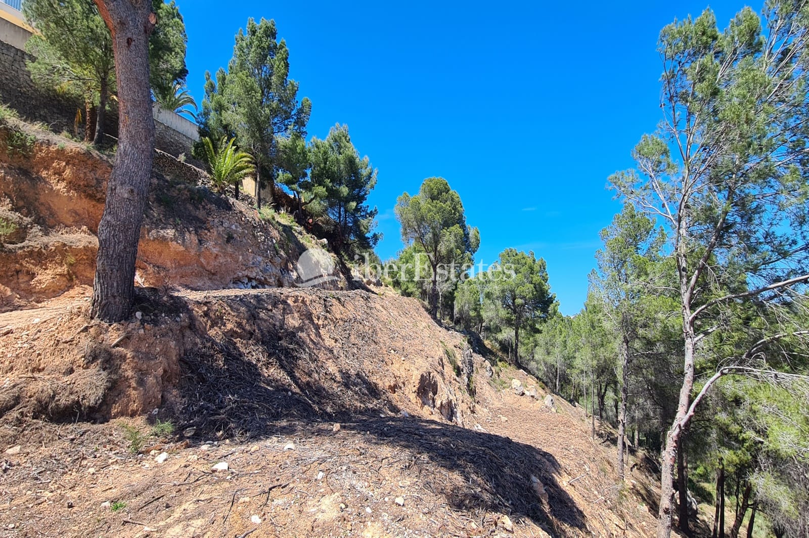Parcela de 2500 m2 en Calpe, Oltamar