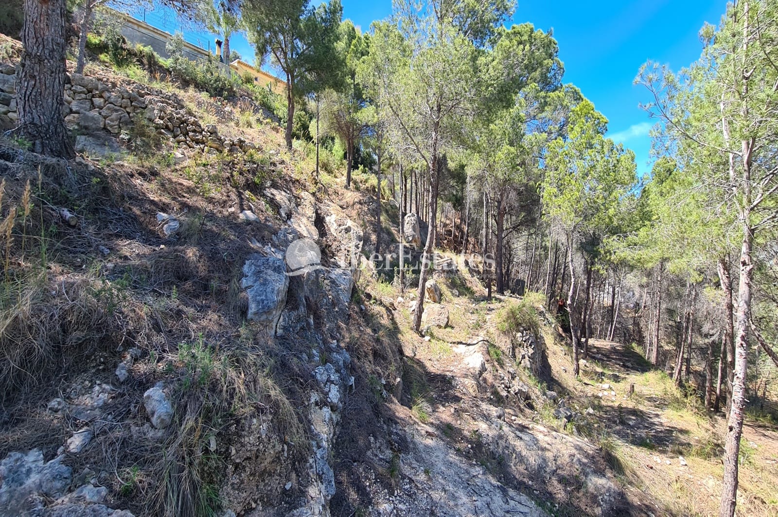 Parcela de 2500 m2 en Calpe, Oltamar