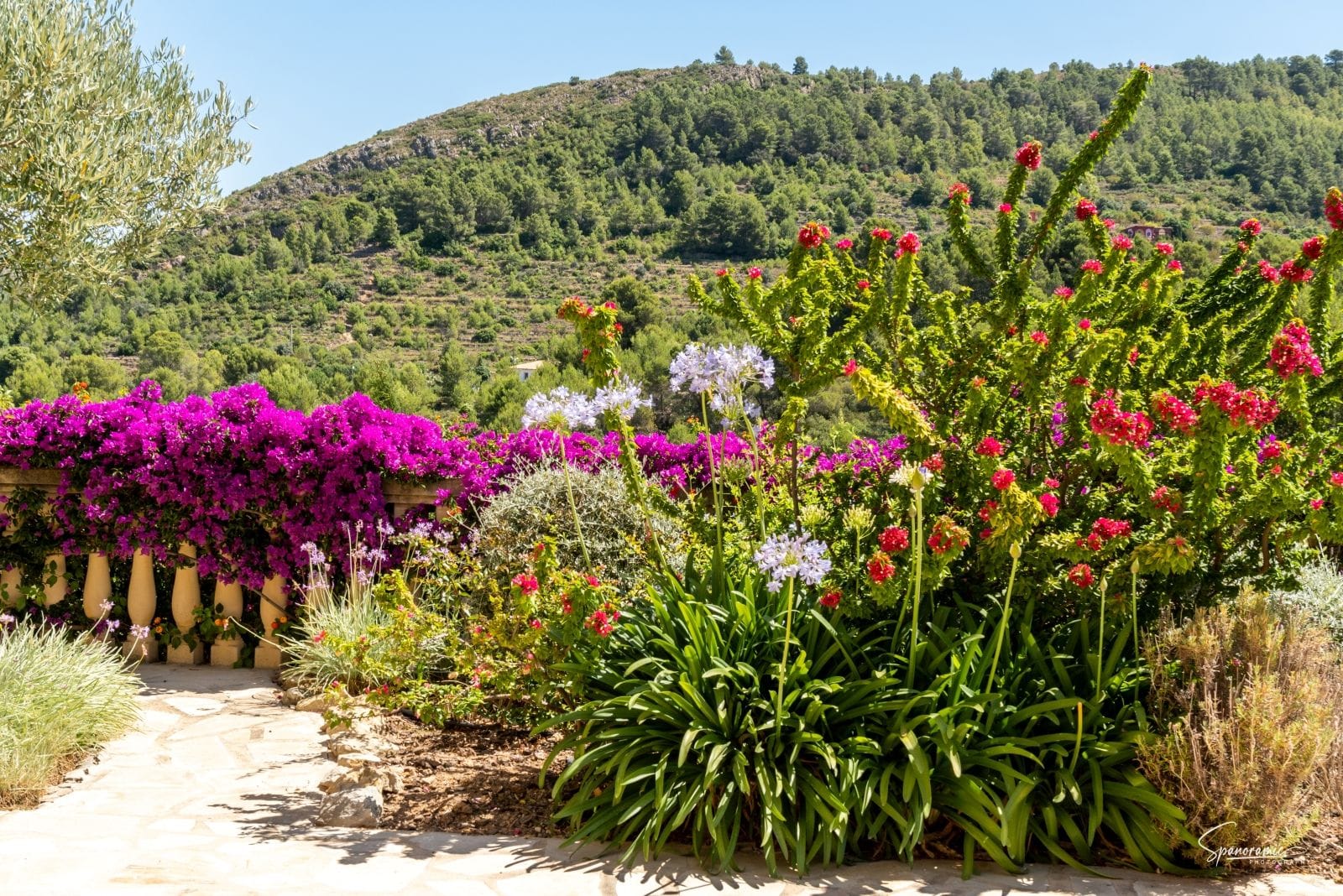 Amplia villa con carácter, piscina y hermoso jardín en Llíber – en el corazón del Valle de Jalón