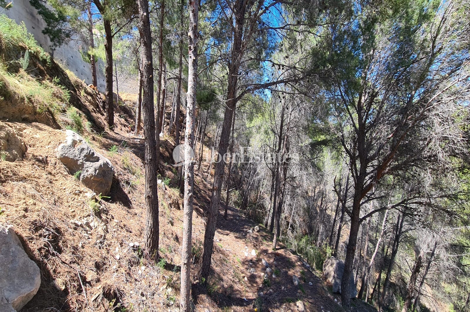 Parcela de 2500 m2 en Calpe, Oltamar