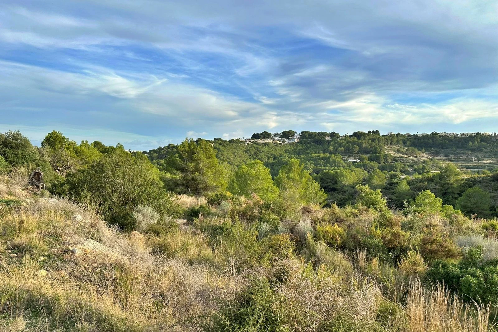 Amplia parcela rústica en Teulada, entorno tranquilo y vistas espectaculares