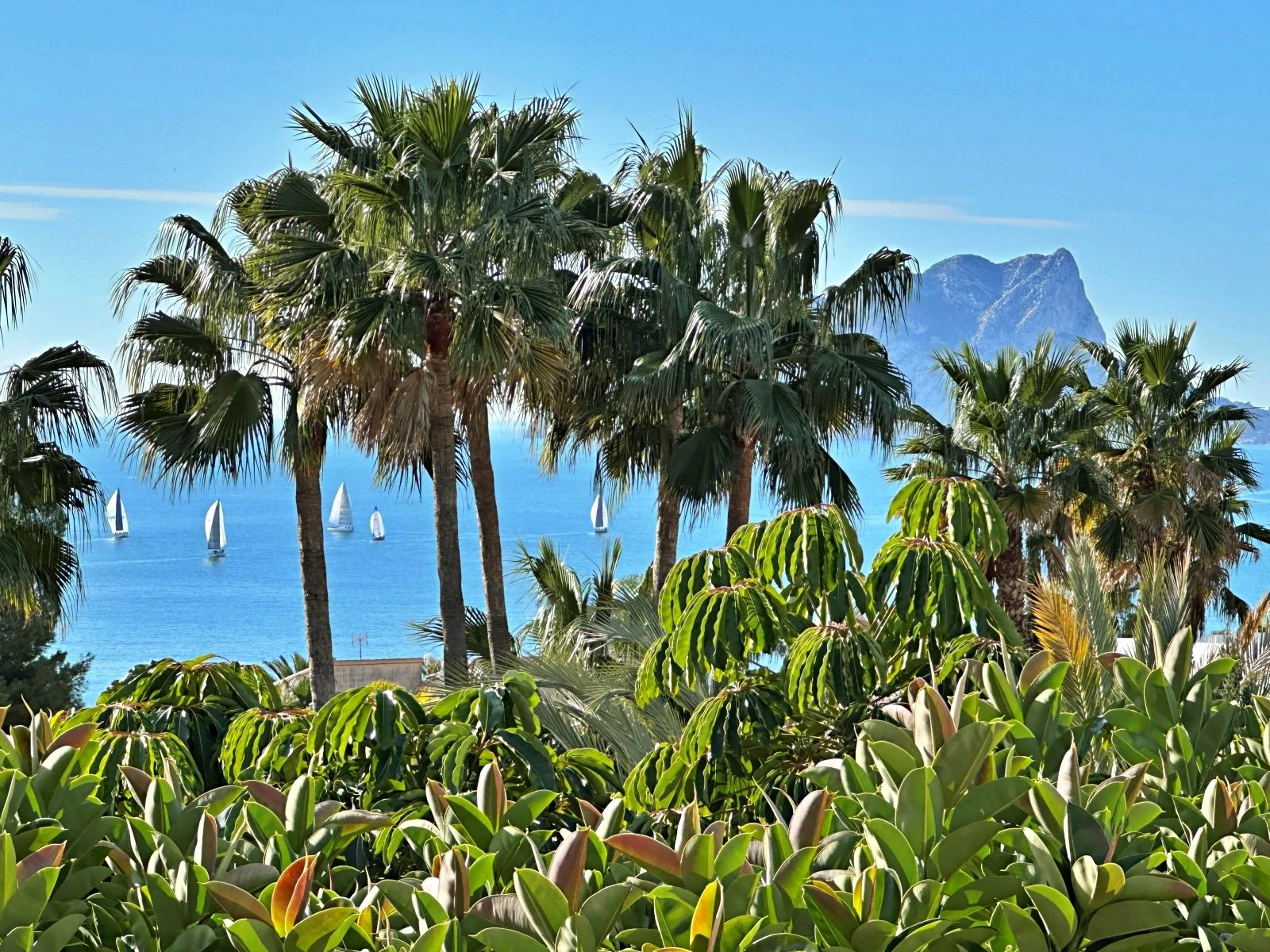 Prachtige villa met zeezicht op 600 meter van El Portet strand