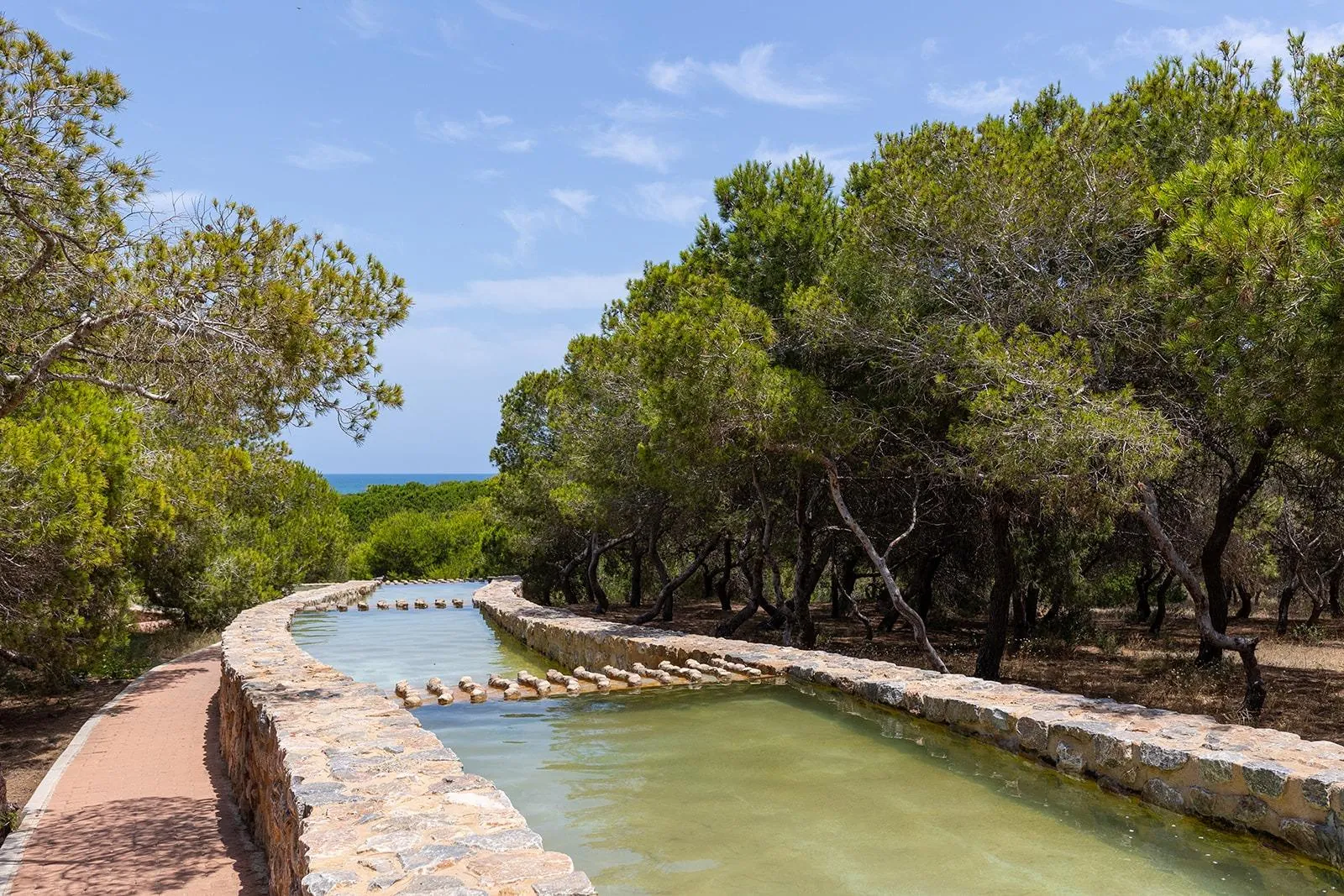 ¡Oportunidad única en la prestigiosa Urbanización Parquemar, La Mata!