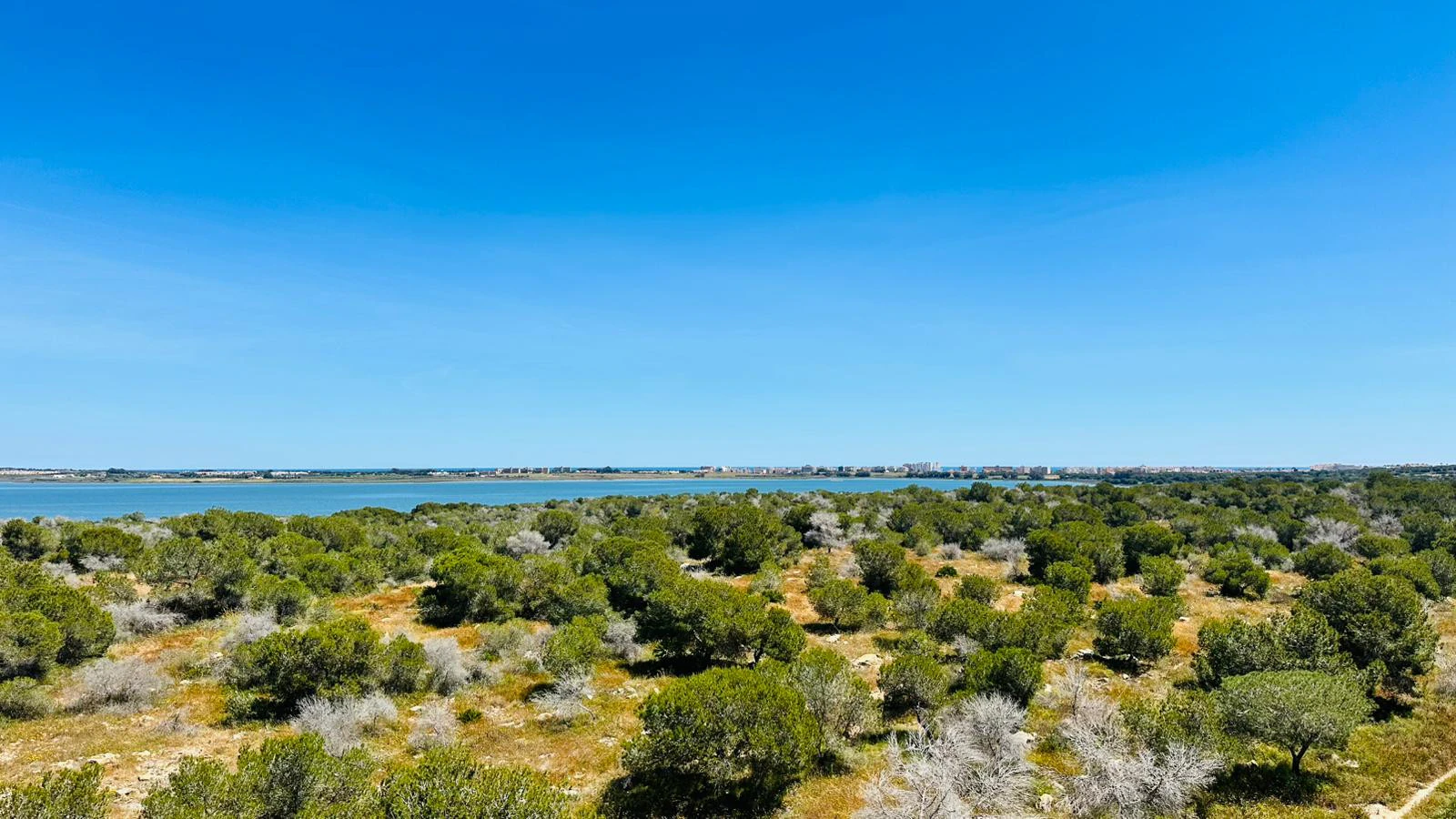 Apartamento en venta en Torrevieja