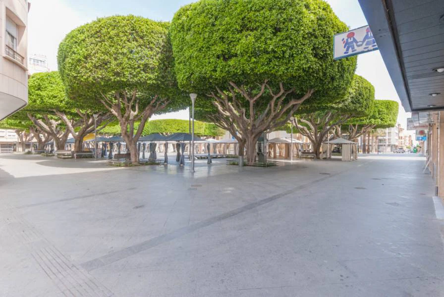 Planta Baja en venta en Almoradi