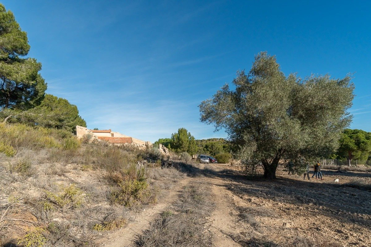 Country land en venta en Pilar De La Horadada