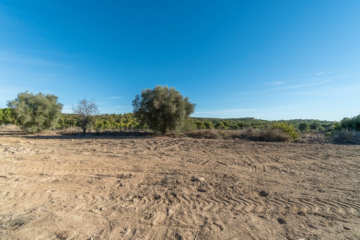 Country land en venta en Pilar De La Horadada