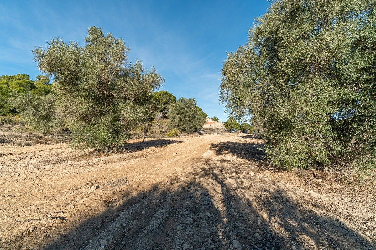 Country land en venta en Pilar De La Horadada