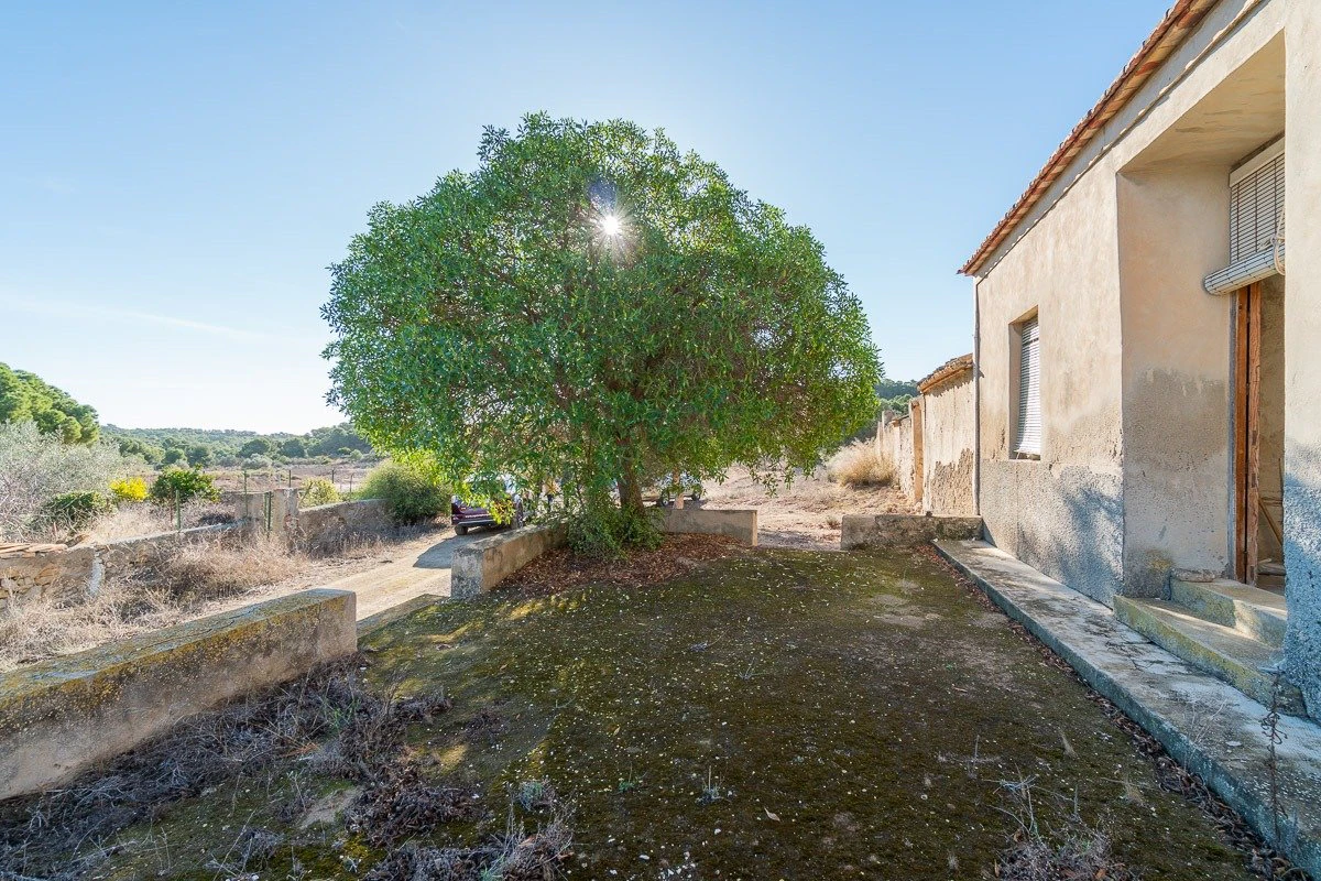 Country land en venta en Pilar De La Horadada