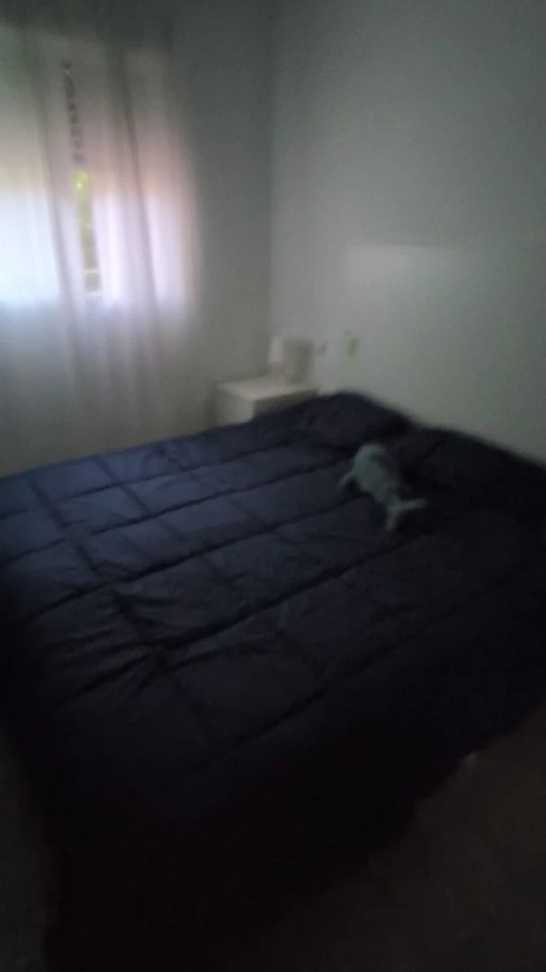 Propiedad en Venta en Guardamar del Segura