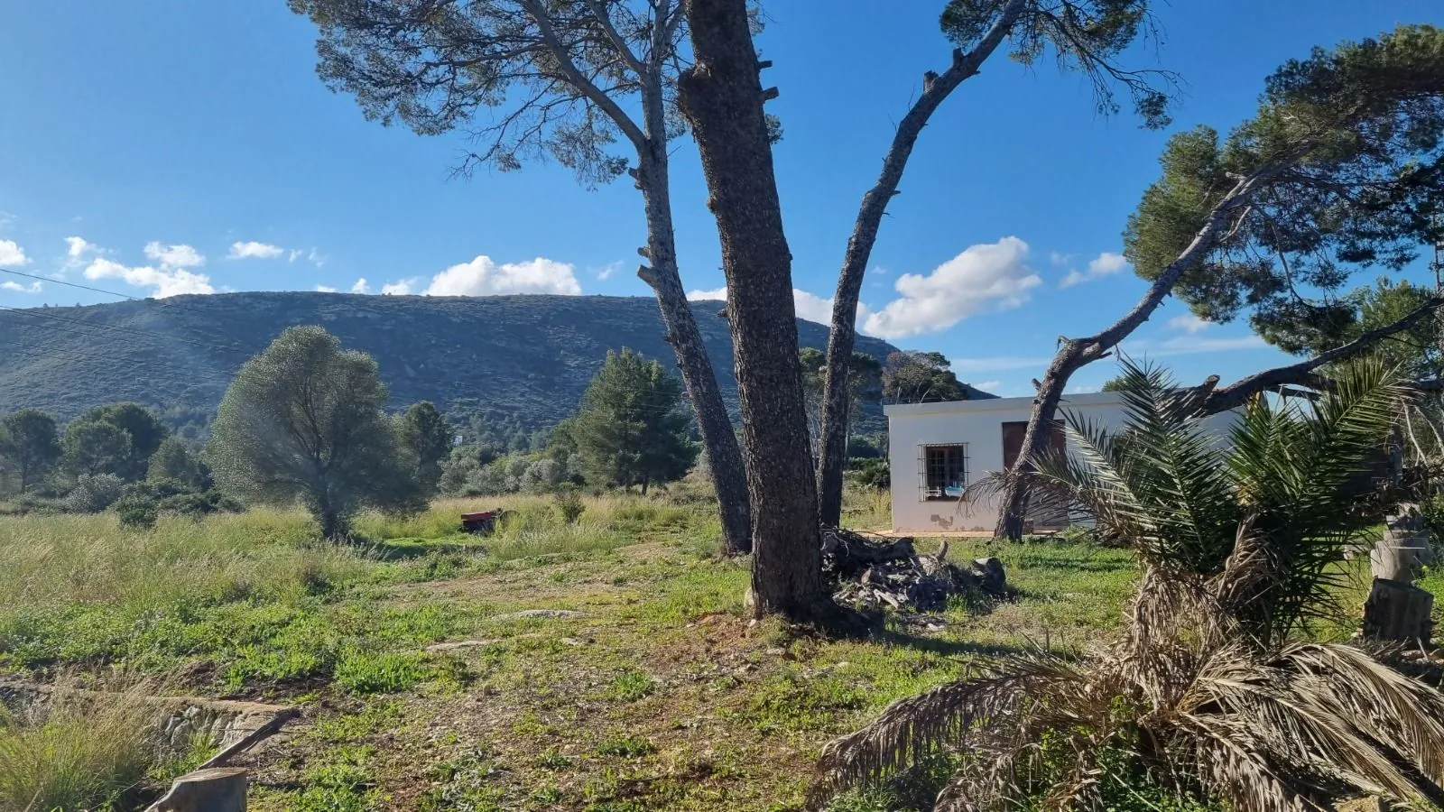 Venta. Finca en Denia