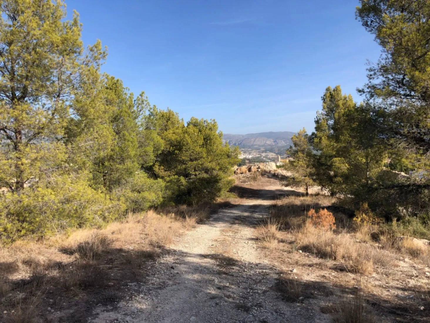 Terreno para construcción de apartamentos turísticos en La Nucía