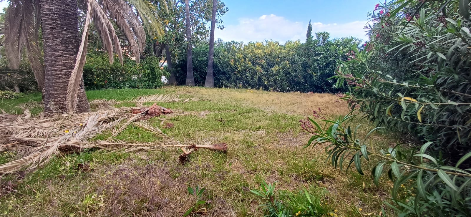 Villa en venta para reformar en Corral de Calafat, Dénia