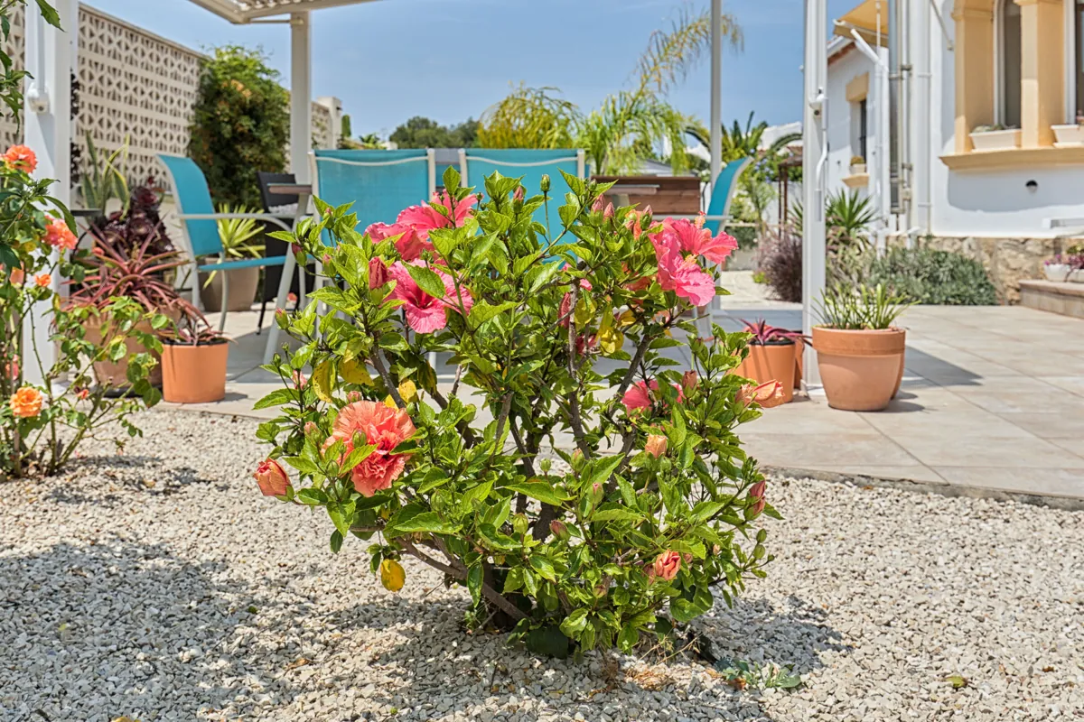 Venta. Chalet/Villa en Jávea