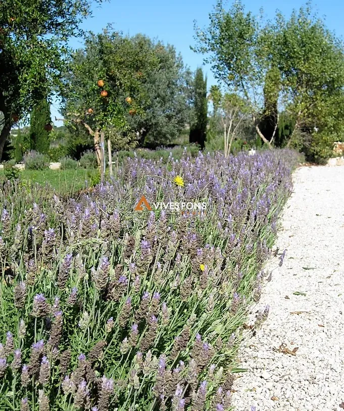 Finca con gran parcela y rodeada de naturaleza en La Sella