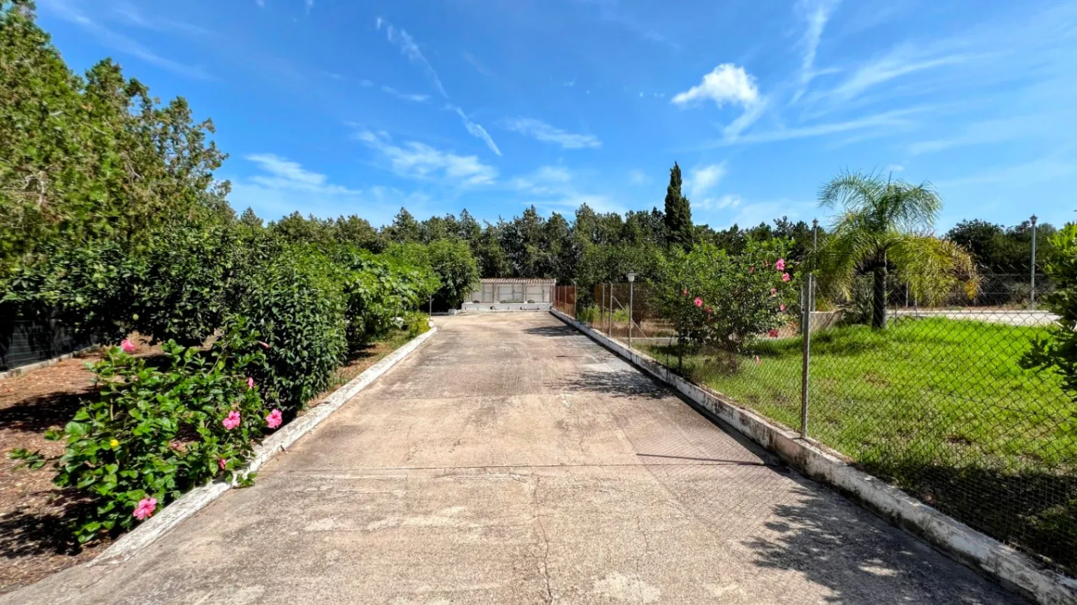 Finca Belén – Un retiro pacífico con infinitas posibilidades