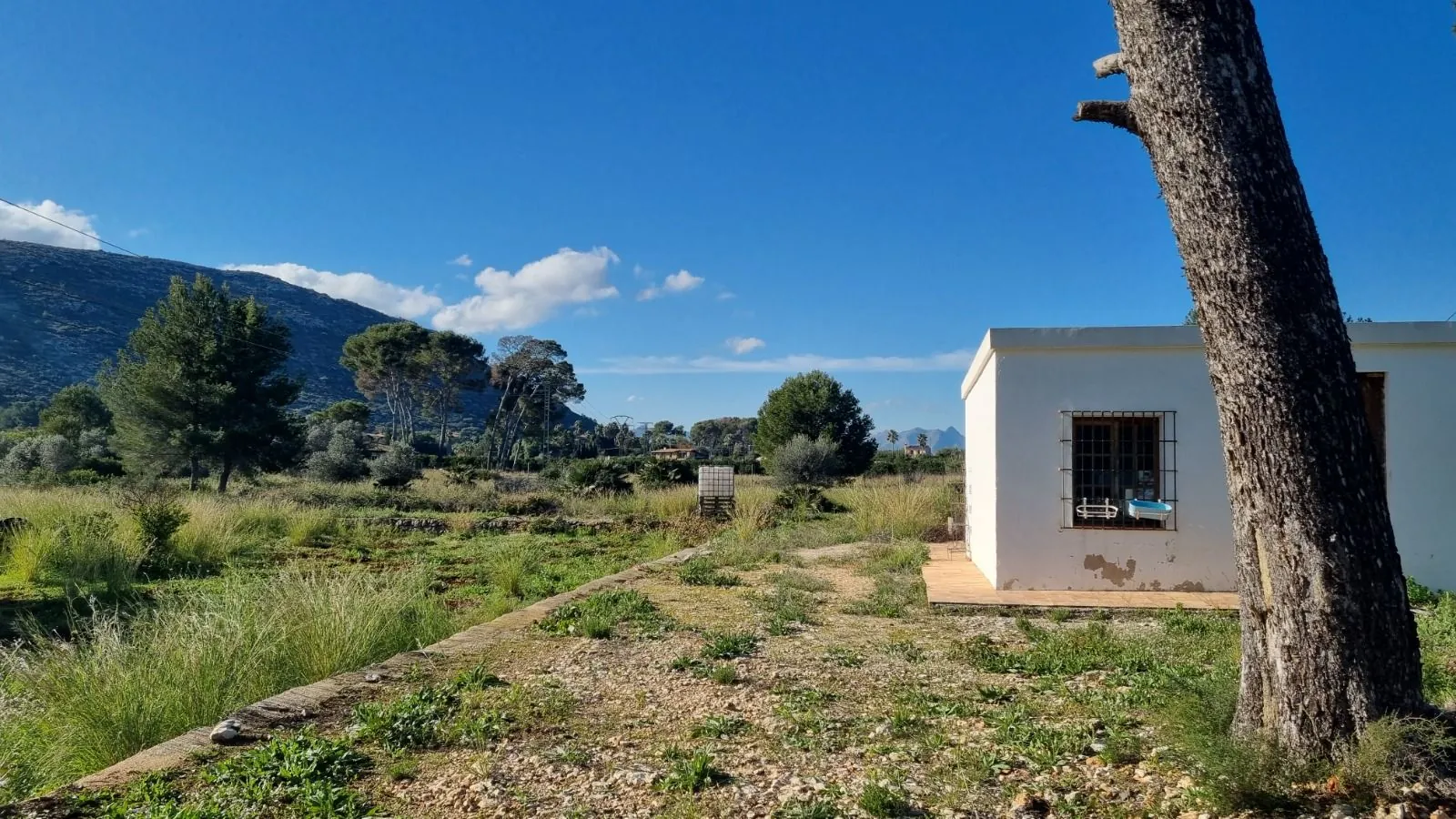 Venta. Finca en Denia