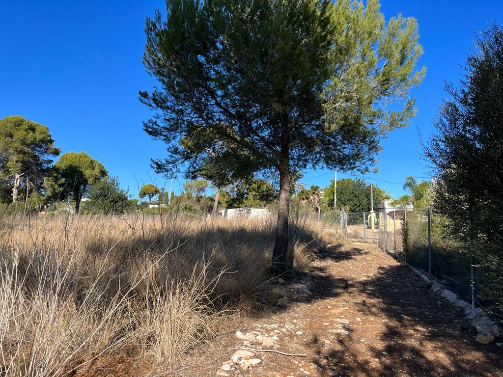 Venta. Finca en Denia