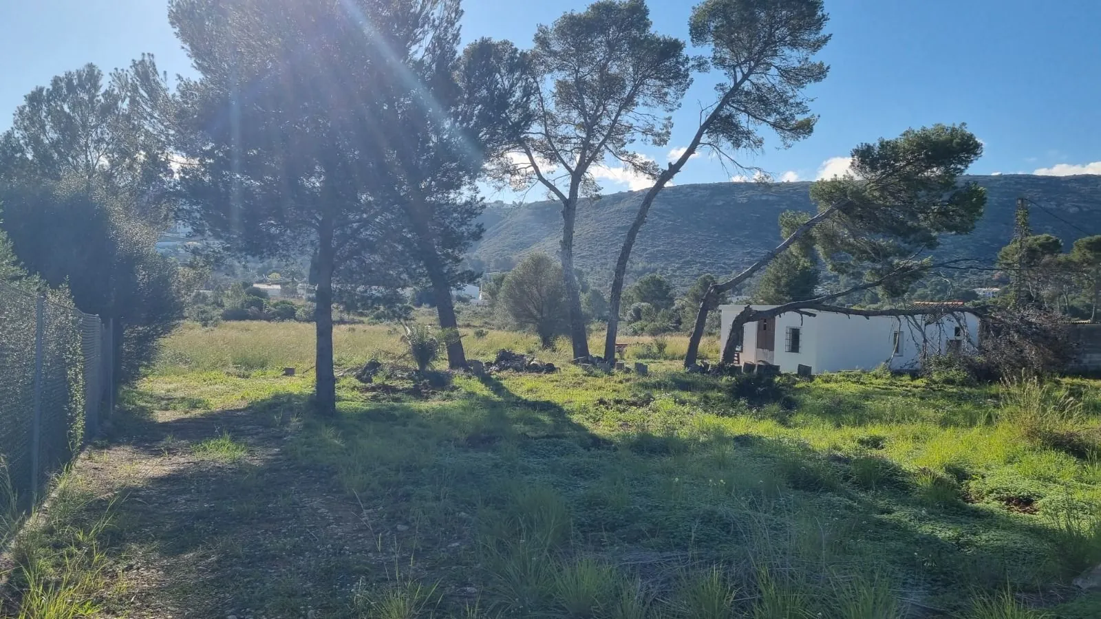 Venta. Finca en Denia