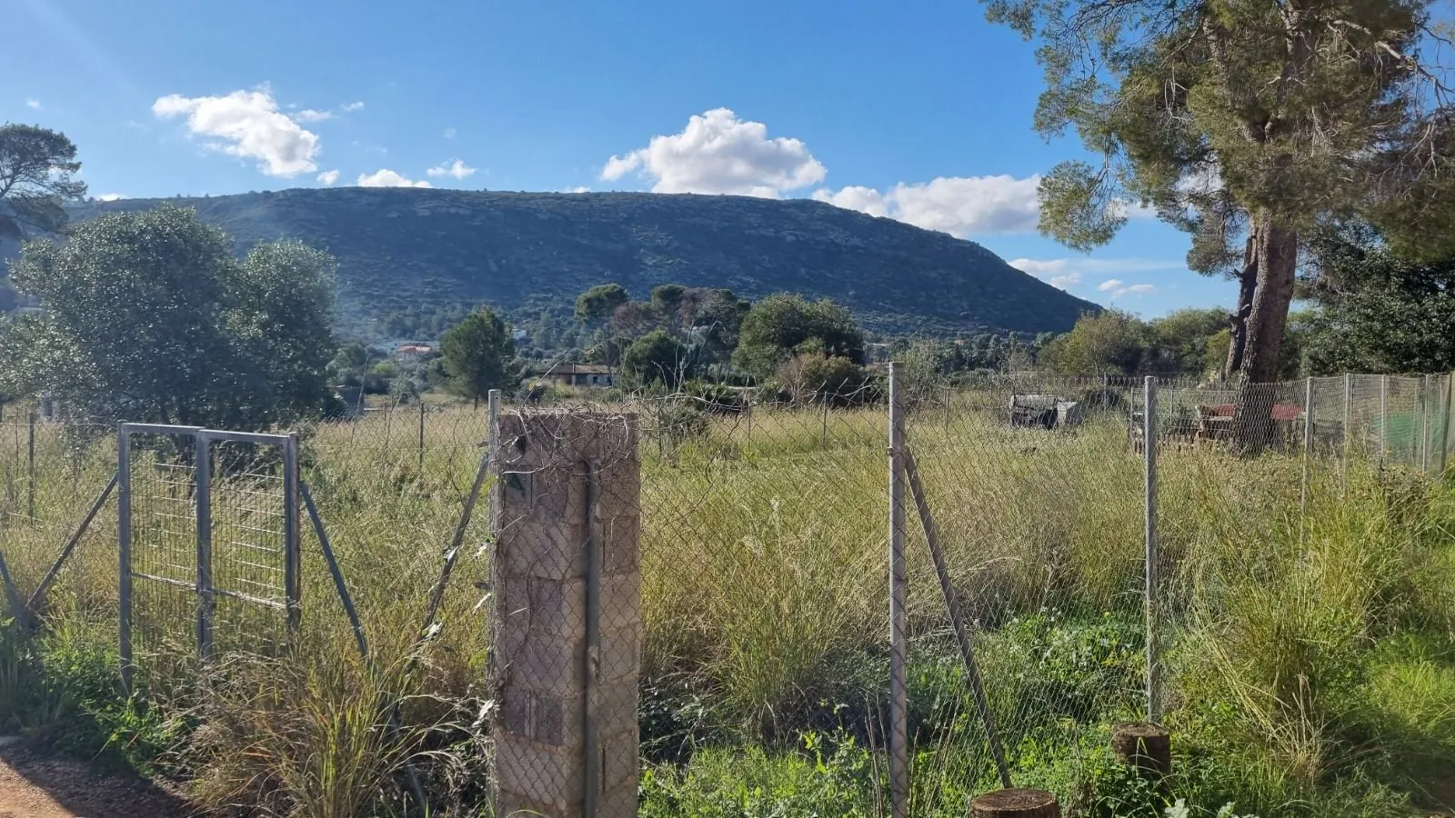 Venta. Finca en Denia