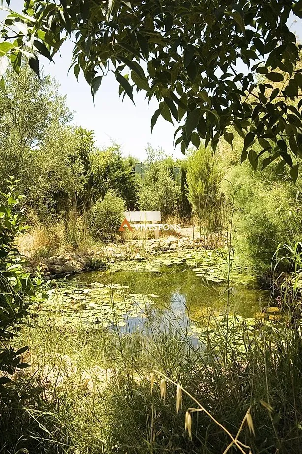 Finca con gran parcela y rodeada de naturaleza en La Sella