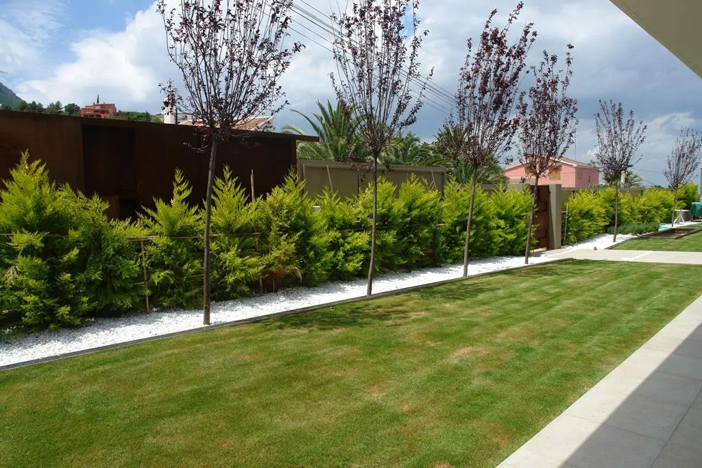 Modern villa in Dénia