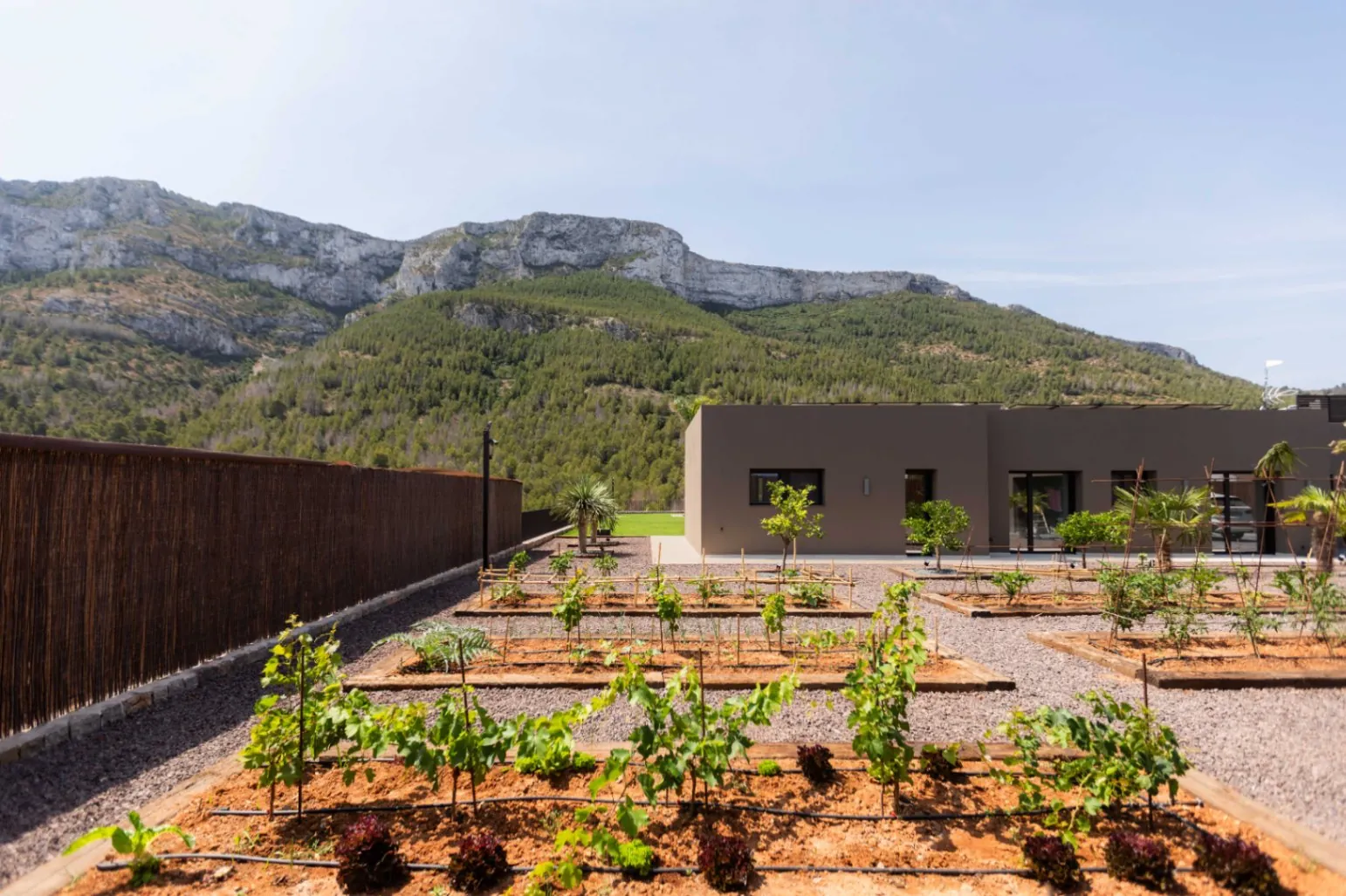 Vivienda contemporánea en una planta integrada con el entorno natural del Montgó