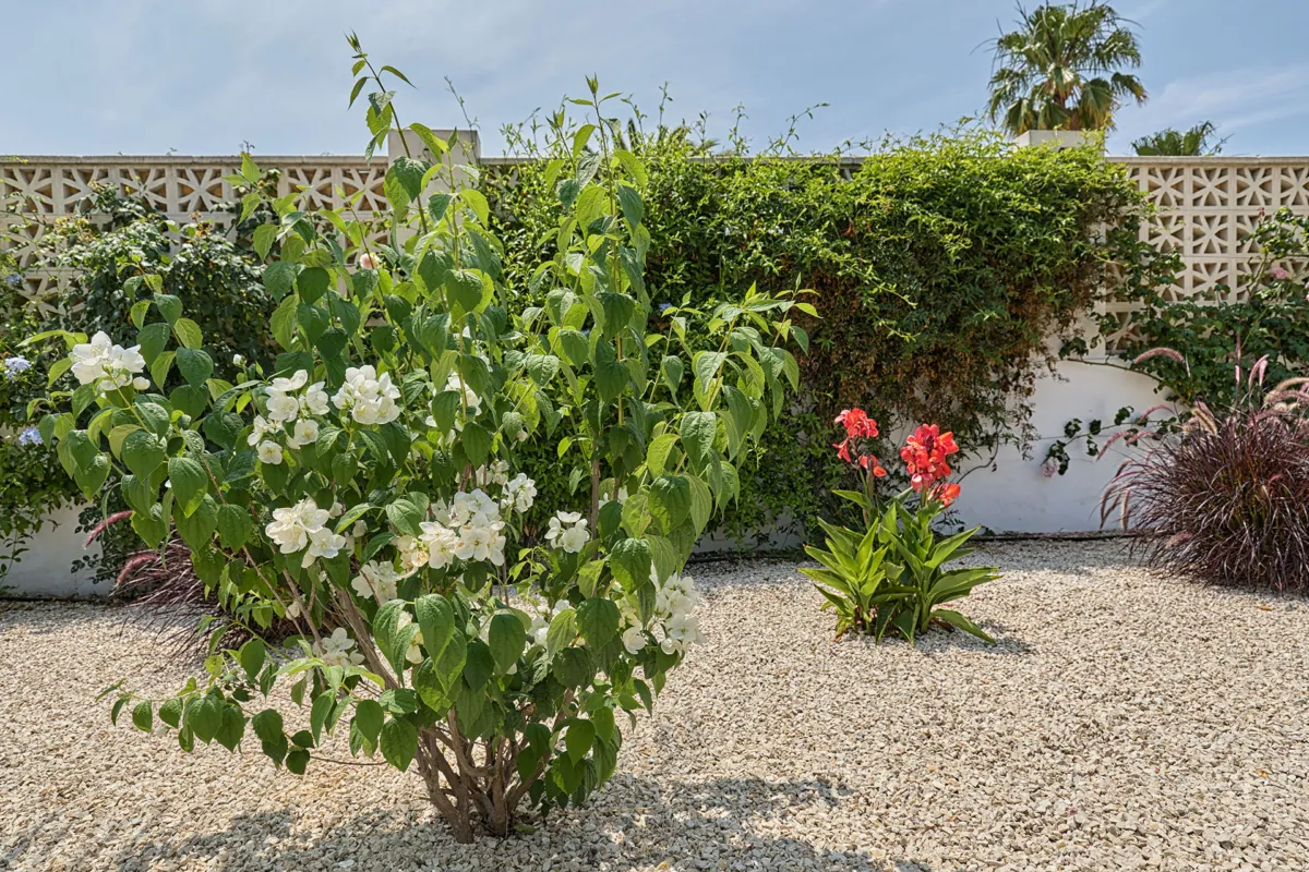 Venta. Chalet/Villa en Jávea