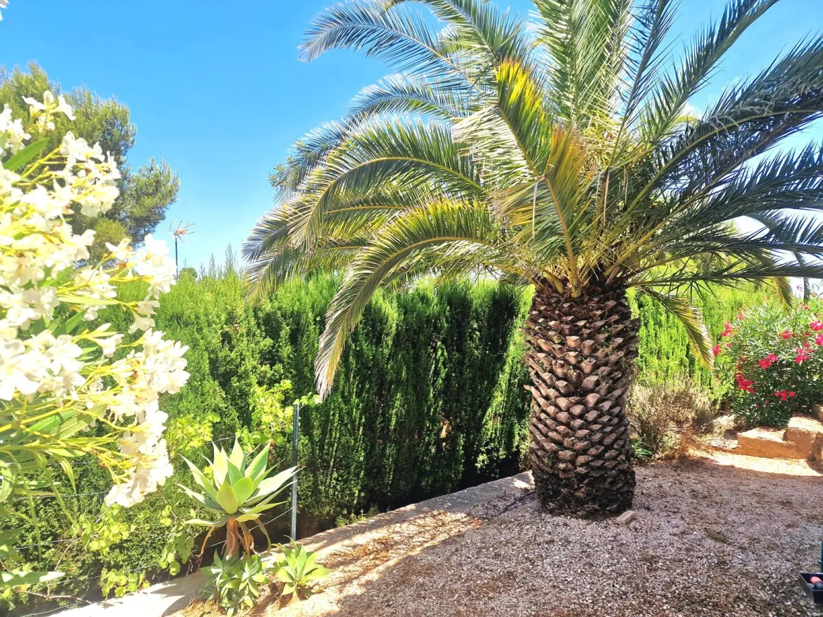 Venta. Chalet/Villa en Jávea