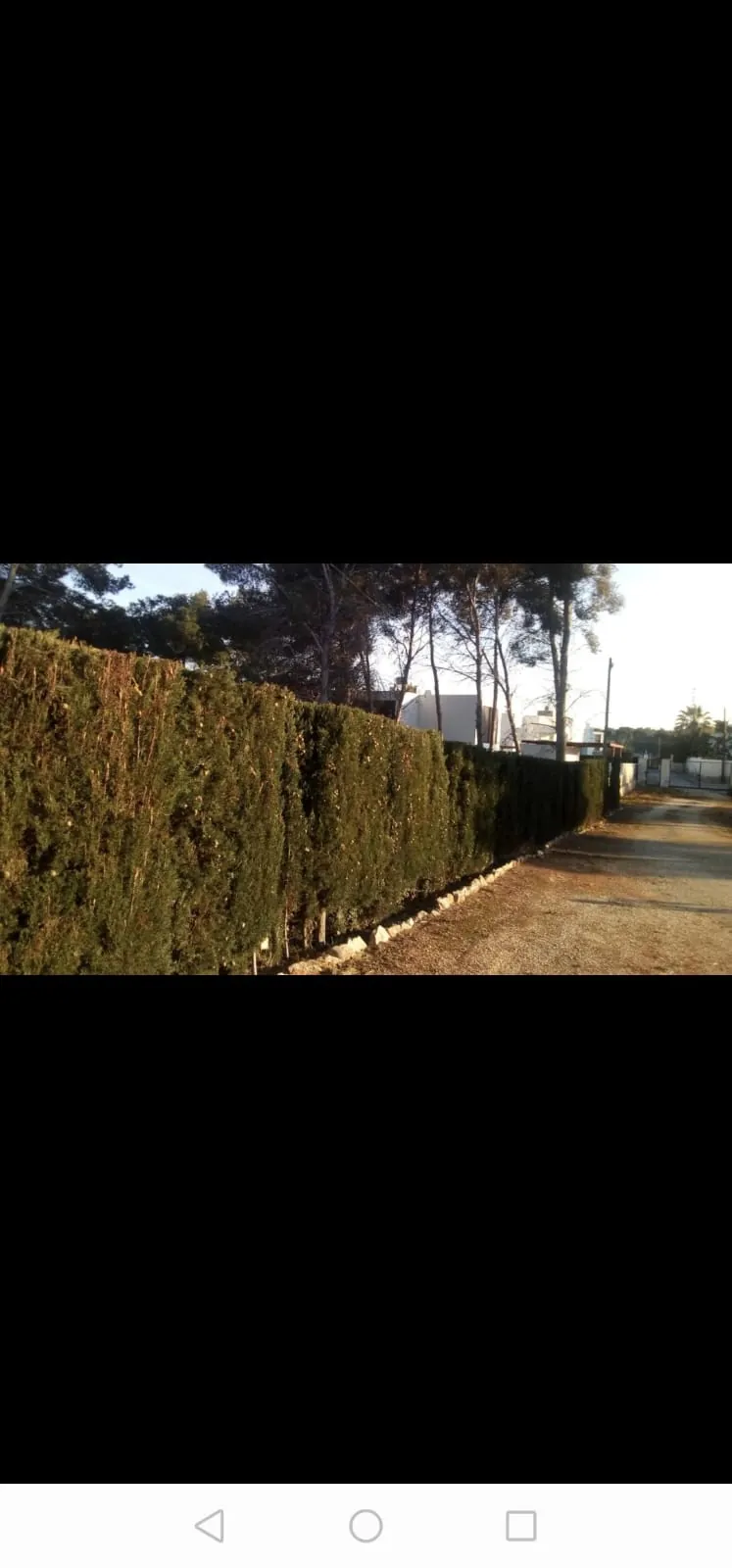 Venta.  en Moraira
