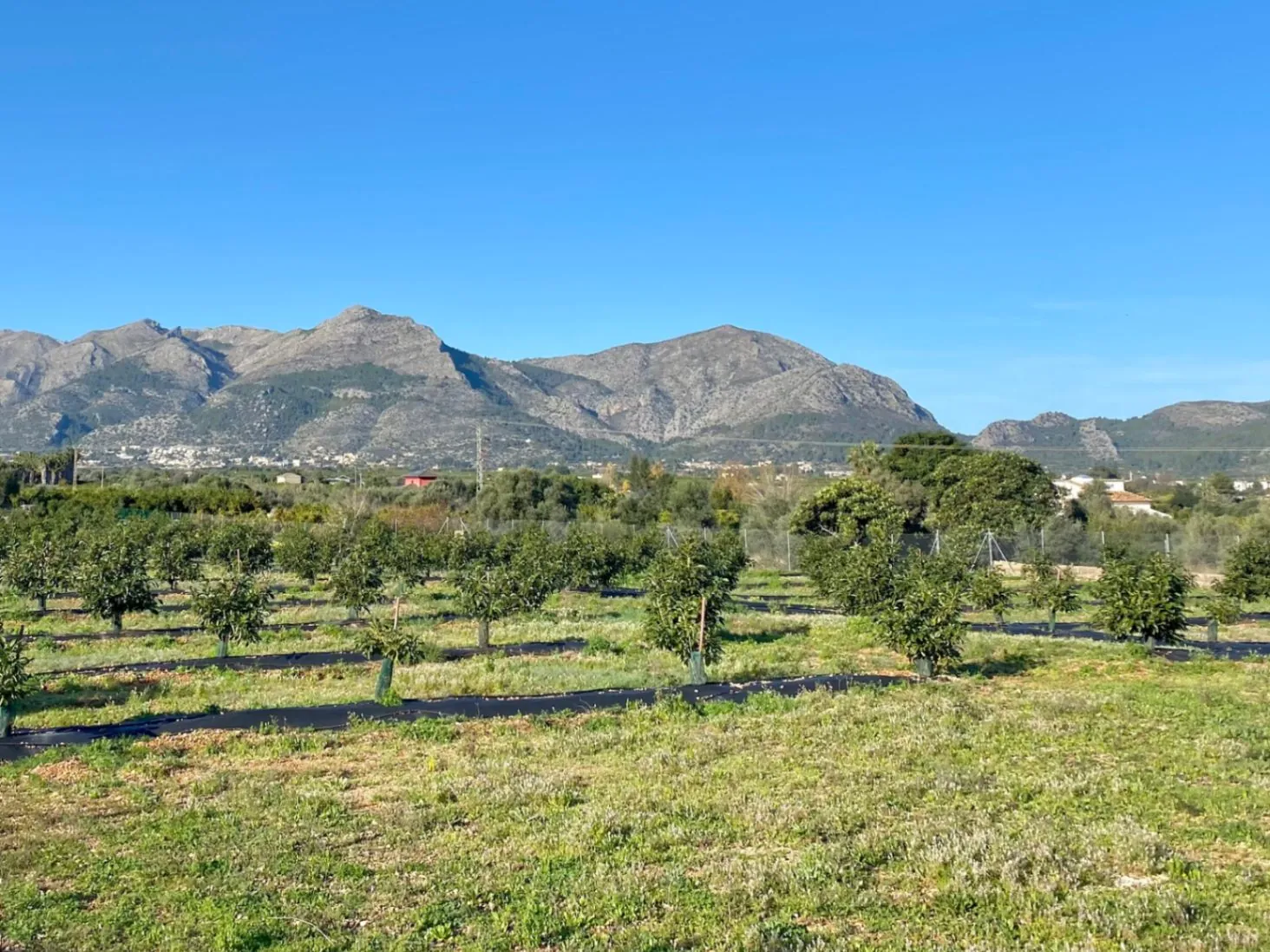 Moderna casa unifamiliar de nueva construcción en Benidoleig, Costa Blanca