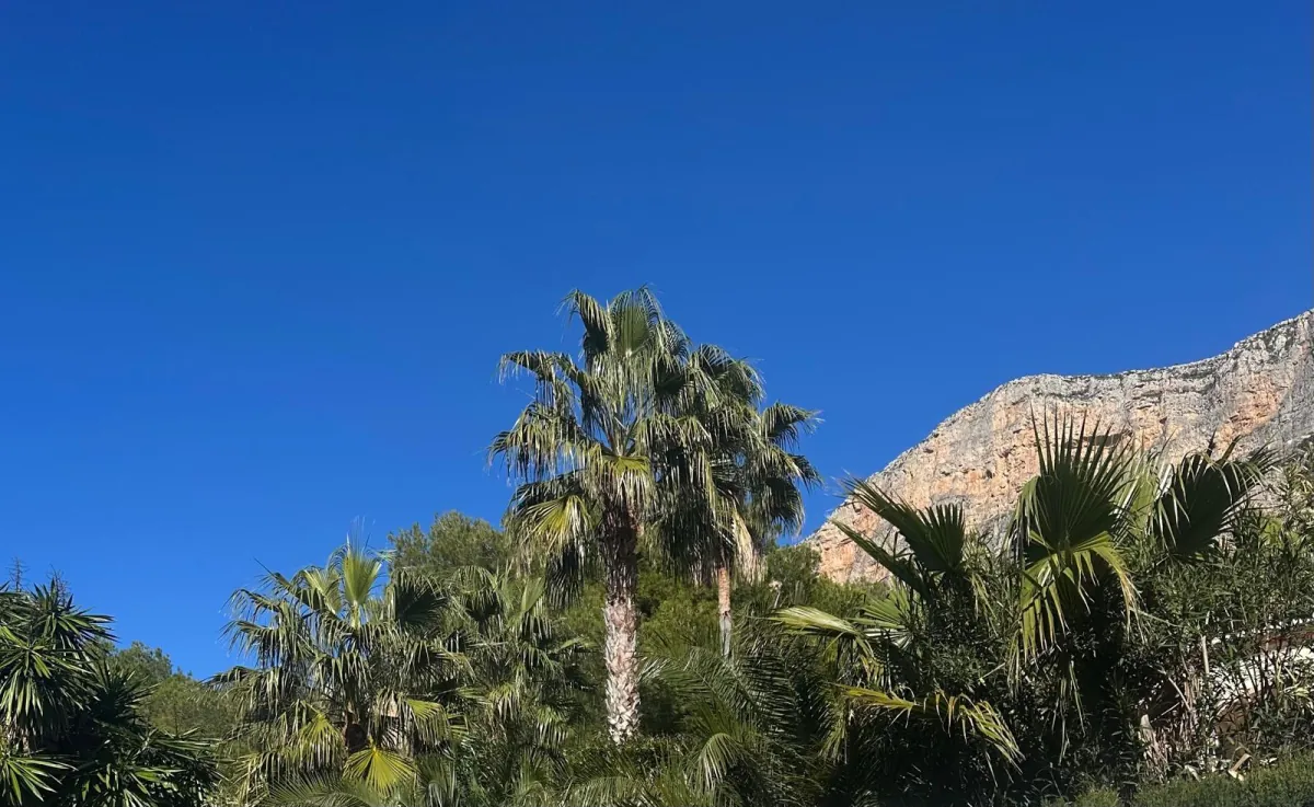 Chalet/Villa en venta en Jávea