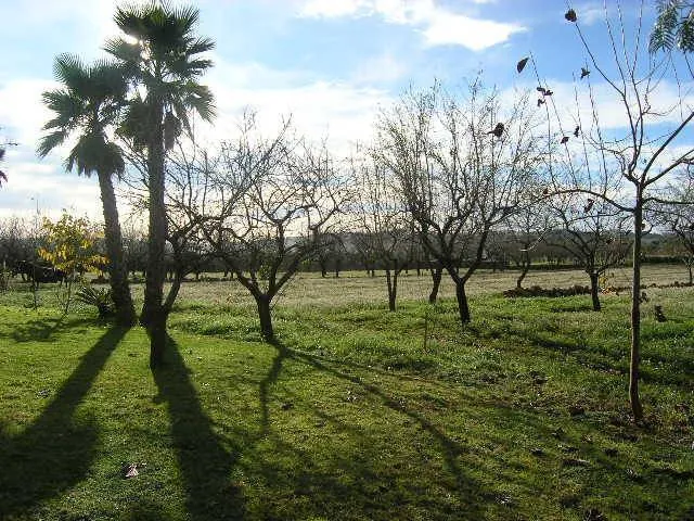 Chalet/Villa en venta en Senija