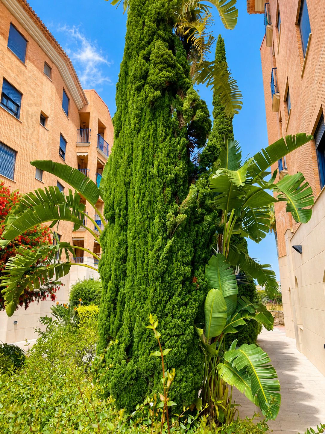 Apartamento impecable con terraza, parking y excelente ubicación a 400 m de la playa en Dénia