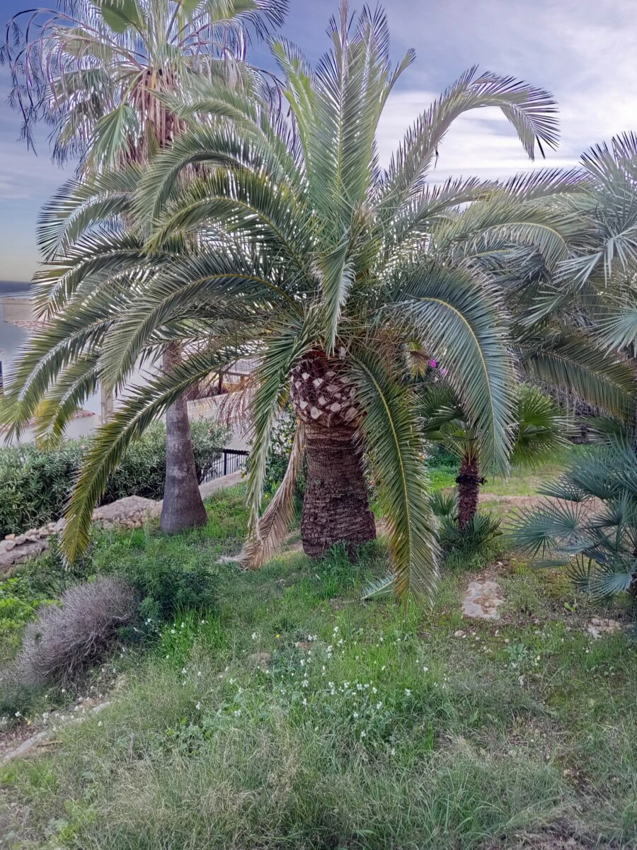 Chalet/Villa en venta en Jávea