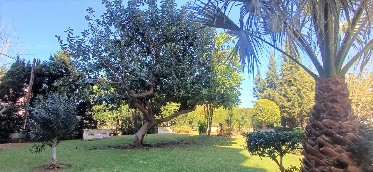 Apartamento en venta en Los Molinos – Las Rotas, Dénia