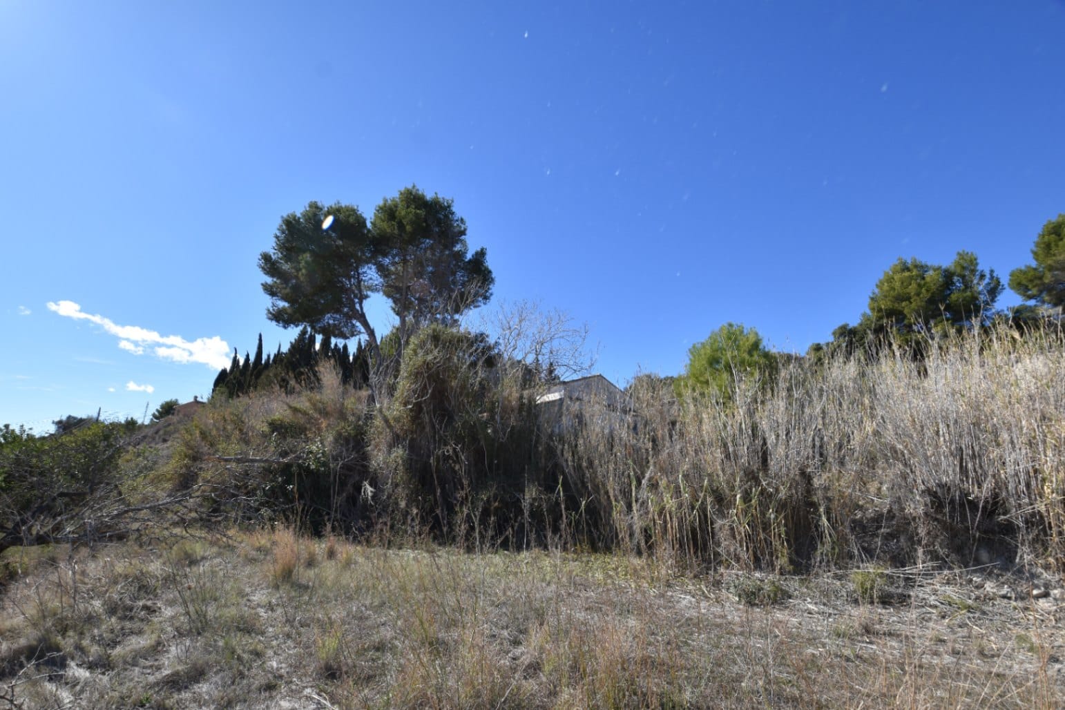 Finca rústica en venta en Teualda