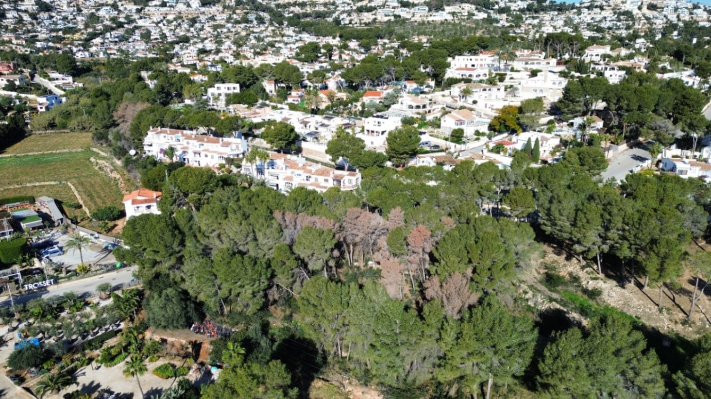 Parcela Urbana en Moraira – A tan solo 2 km del centro de la ciudad