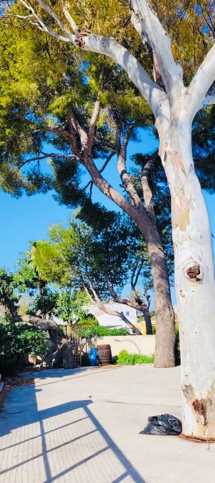 Encantadora Casa Mediterránea con Gran Parcela, Vistas a la Montaña y Patio – La Xara (Dénia)